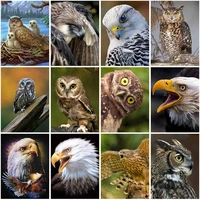 5d diy daimond painting full square drill animals eagle diamond embroidery cross stitch wall art mosaic kits home decor gift