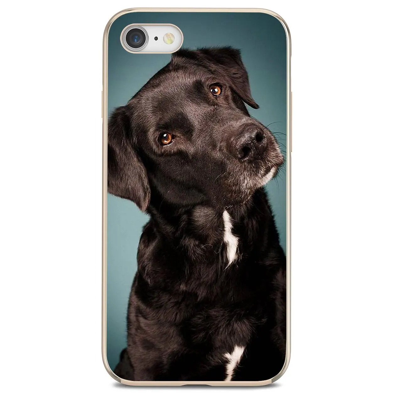 Мягкий чехол с рисунком hello Black Lab щенок Лабрадора для iPod iPhone 10 11 12 Pro Mini 4S SE 5C 6 6S 7 8 X XR