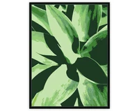 agave plant paint by numbers kit for adults beginners acrylic painting oil paint on floater framed canvas diy paint by numbers