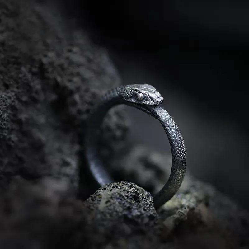 

Creative Design Domineering Reptile Snake Tail Biting Ring Men's Classic Retro Viking Fashion Jewelry