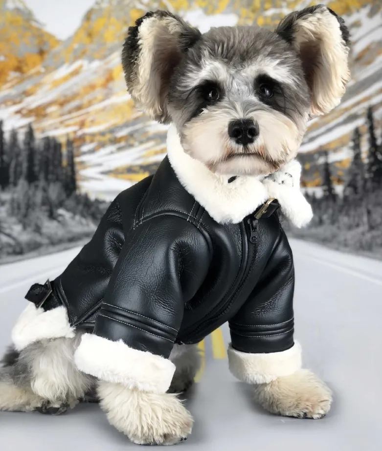 

Dog Clothes Autumn And Winter Thickening Tide Black Fur Coat Small Dog Teddy Schnauzer Cat Pomeranian Pet Supplies