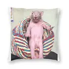 Обнаженная крыса в стуле, искусственная подушка, наволочка, шелковая подушка, наволочка, подушка для тела, аниме