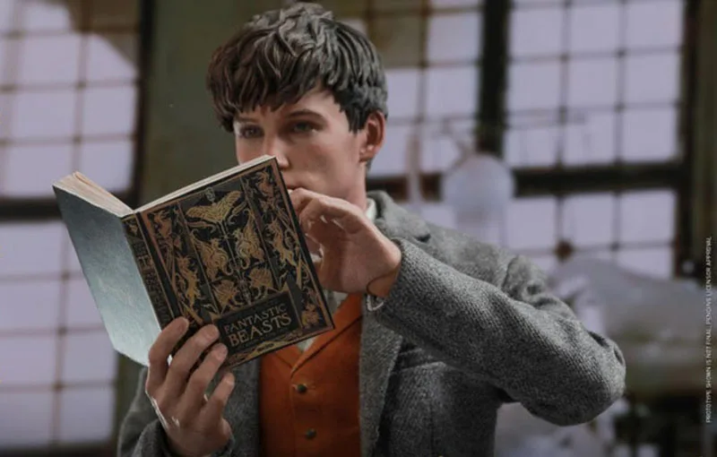 

1/6 HOTTOYS MMS512 Magical Beasts Newt Scamander Full Set Action Figure Toy