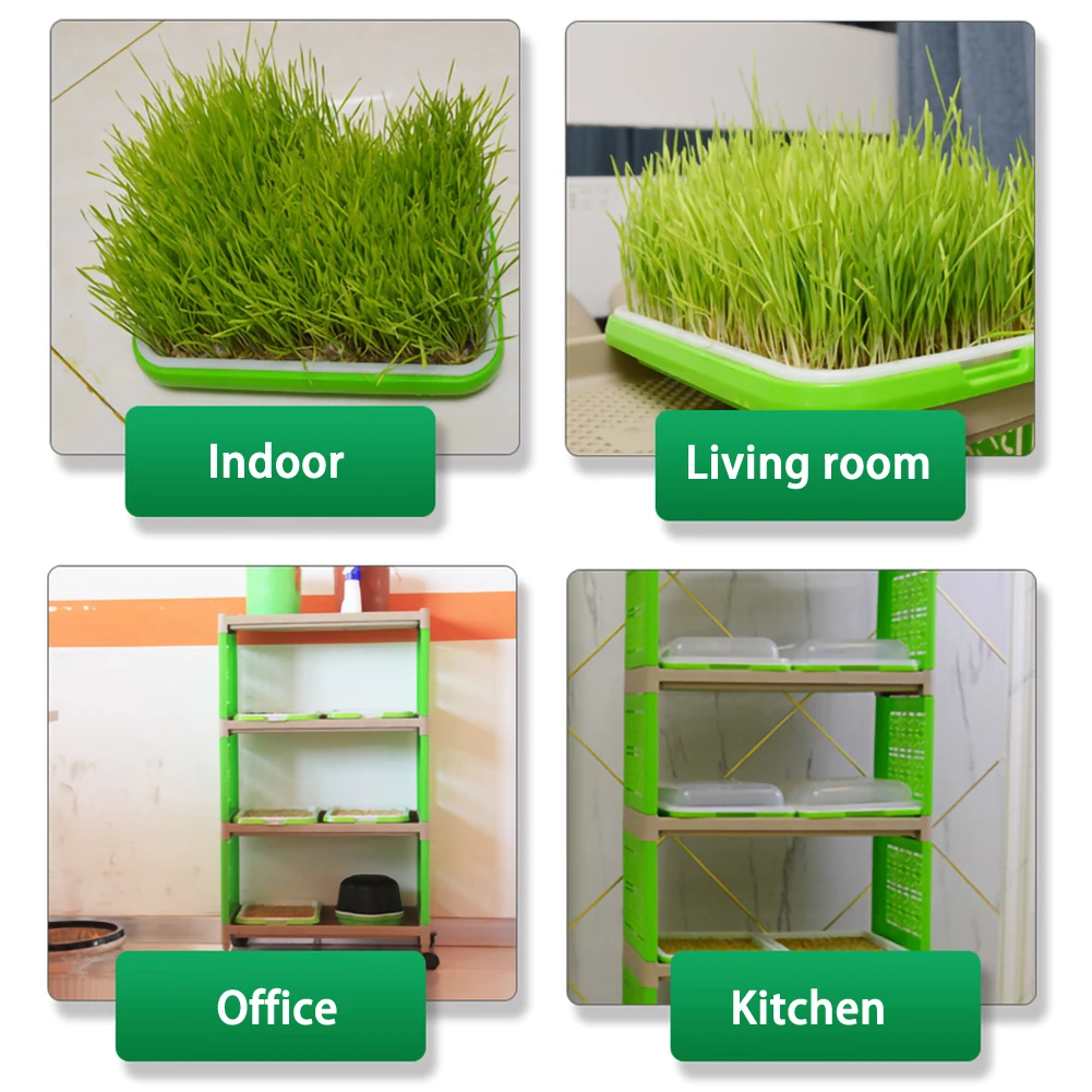 

Seed Sprouter Tray BPA Free PP Soil-Free Large Capacity Healthy Wheatgrass Grower with Cover Seedling Sprout Plate Hydroponic