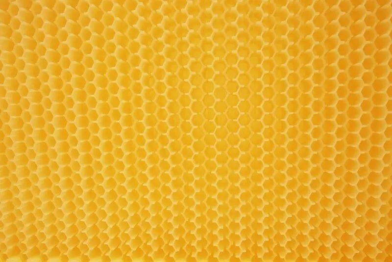 Высококачественное деревянное пчелиное гнездо для насекомых домик инструменты