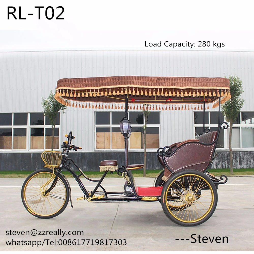 RL T02 индивидуальный Электрический грузовой трехколесный велосипед