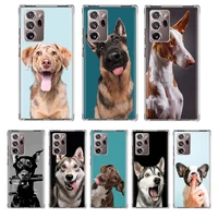 cute animal dog phone case coque for samsung galaxy note 20 ultra note 10 plus 8 9 f52 f62 m31s m30s m51 m11 cover funda capa