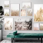 Постер с изображением ботанической осени сушеных цветов, настенные картины натуральная пампасная трава, симпатичная Картина на холсте для украшения комнаты