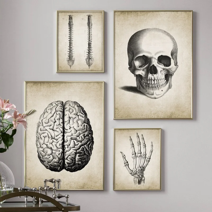 

Brain Finger skull Human Anatomy Poster Vintage Wall Art Canvas Painting Nordic Posters And Prints Wall Pictures For Living Room