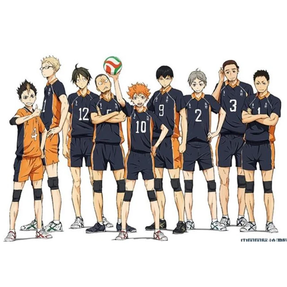 

12 Styles Hot Anime Karasuno High School Sportwear Uniform Haikyuu Hinata Shyouy Cosplay Costumes Outfit Jerseys
