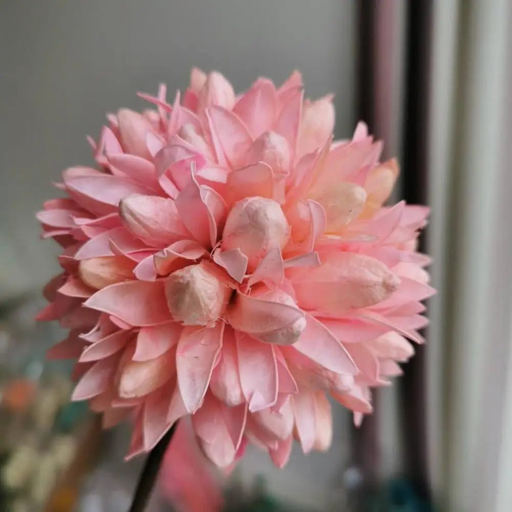 4 шт. высушенные ветви растений искусственные натуральные растения цветок для