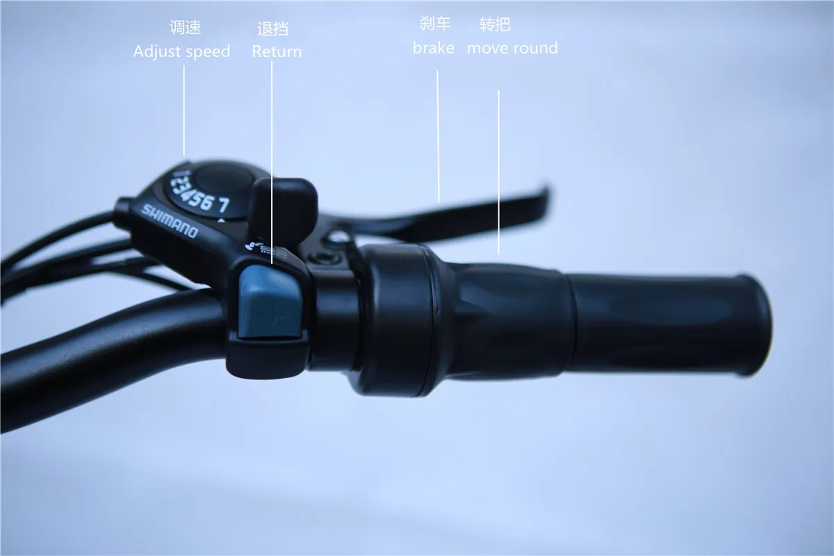 В наличии в Европе 2-колесный Электрический велосипед из алюминиевого сплава 20