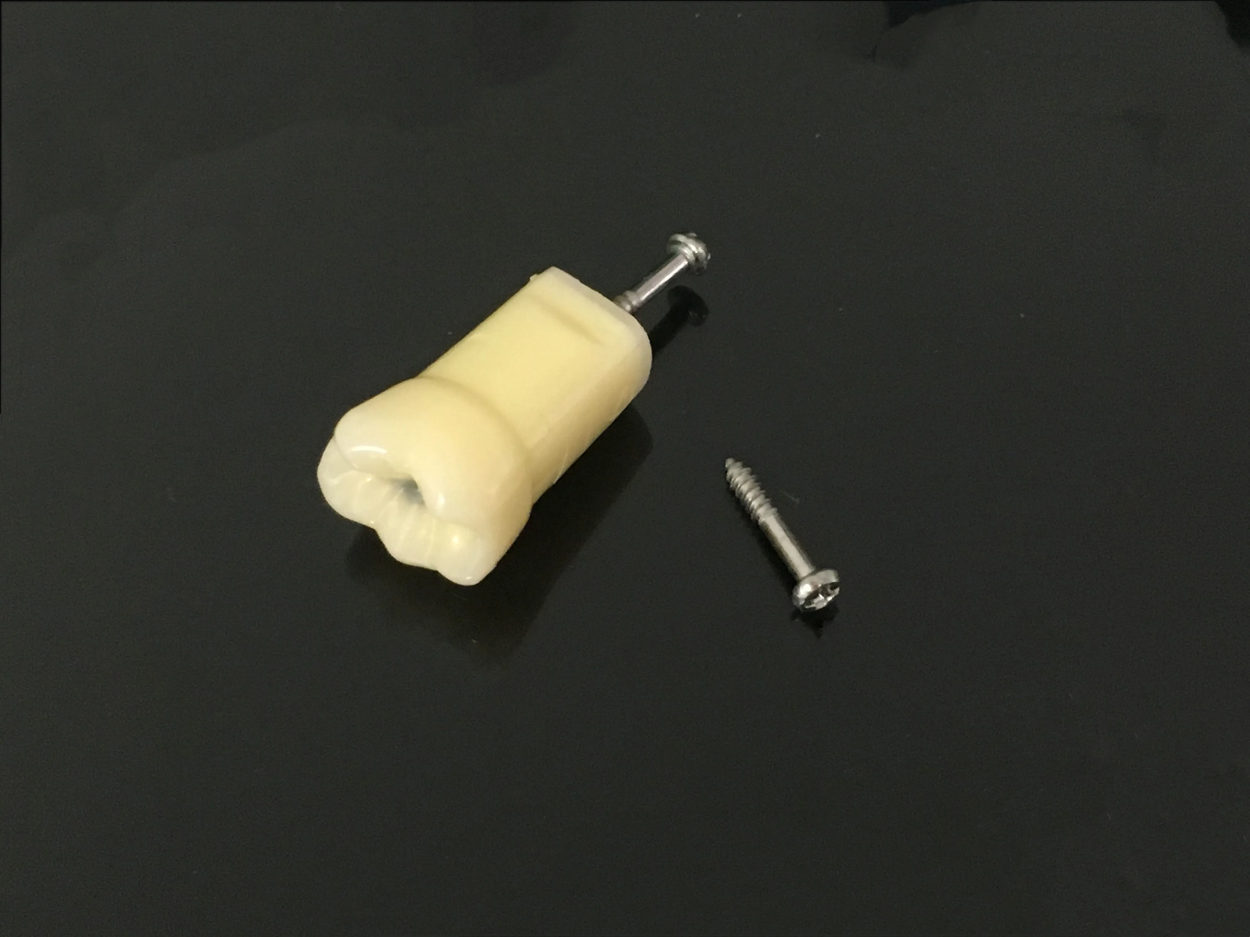 

5Pcs/Lot Dental Screw Caries Remove Decayed Teeth Practise Cuspid Model