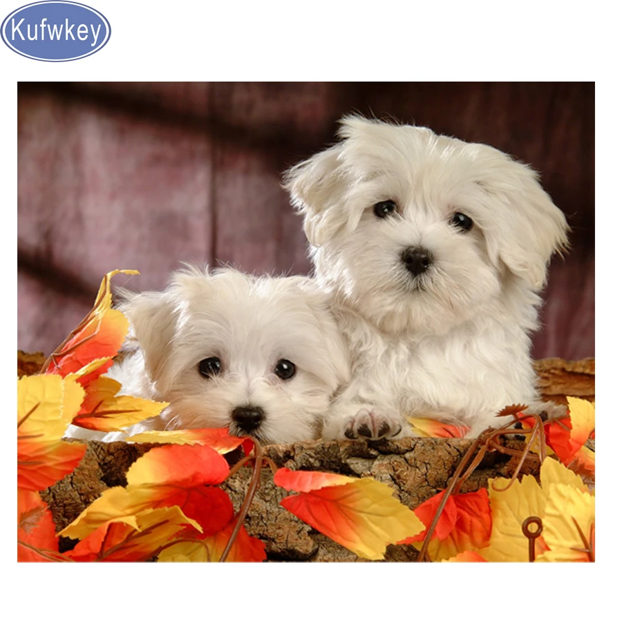 Алмазная живопись 3d вышивка крестиком Мальтийская собака сделай сам 5d алмазная