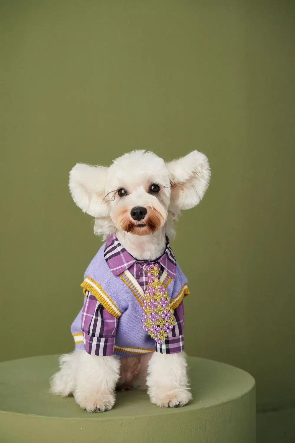 Одежда для домашних животных Осенняя тонкая зеленая рубашка Трикотажный жилет