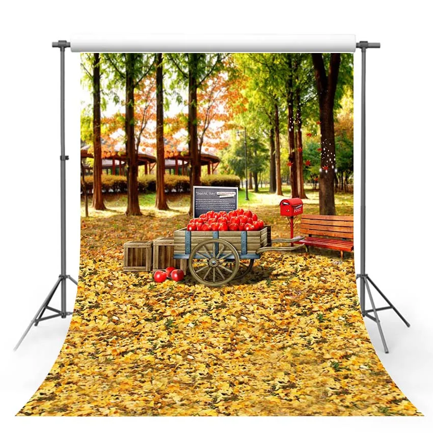 Фон Mehofond осенний пейзаж деревенский парк дерево желтые листья фрукты ребенок