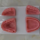 Новинка, модуль для тренировки зубной десны, силиконовая модель швов для периодонтита