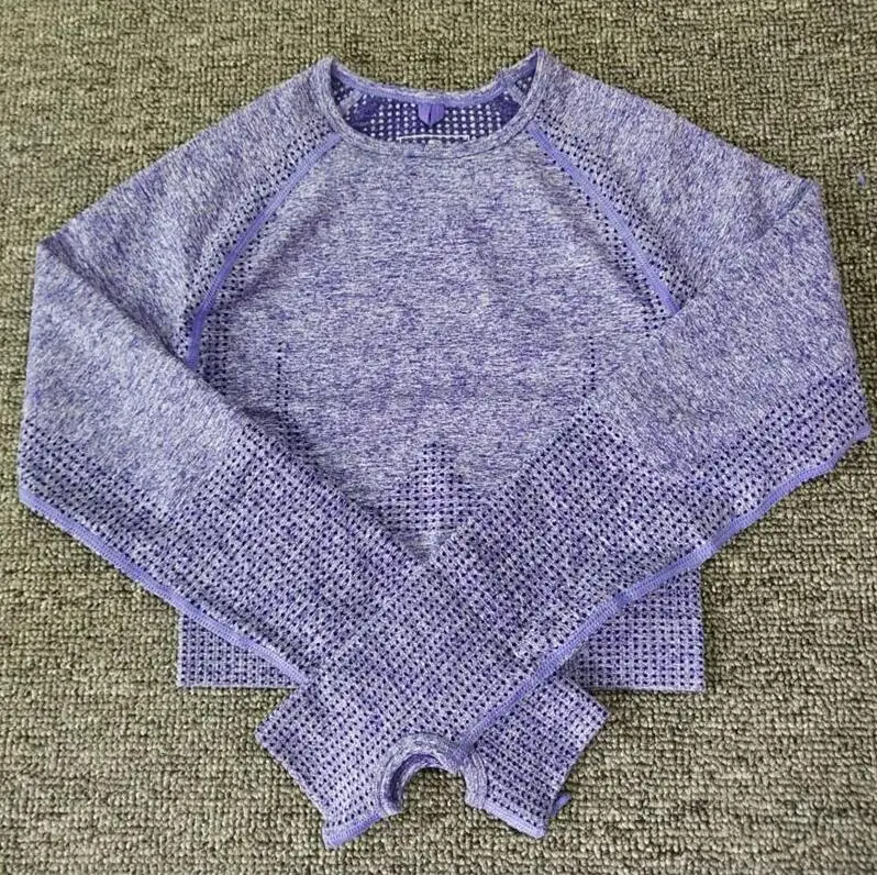 Purple shirt Женский бесшовный комплект для йоги, спортивные костюмы для фитнеса, одежда для спортзала, рубашки для йоги с длинным рукавом, леггинсы с высокой талией для бега, штаны для тренировок, рубашки - Цвет: Purple shirt
