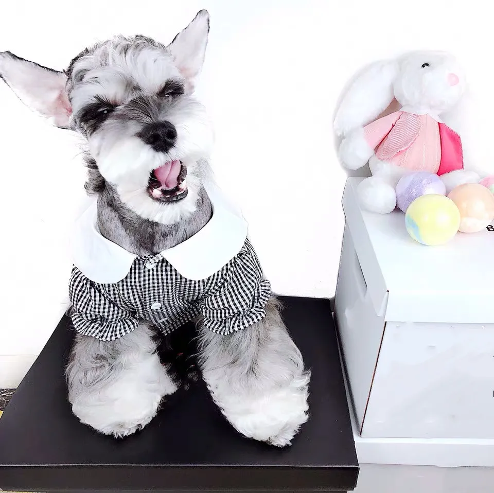 Модная шнауцер собака весна лето рубашка одежда маленький средний щенок собаки