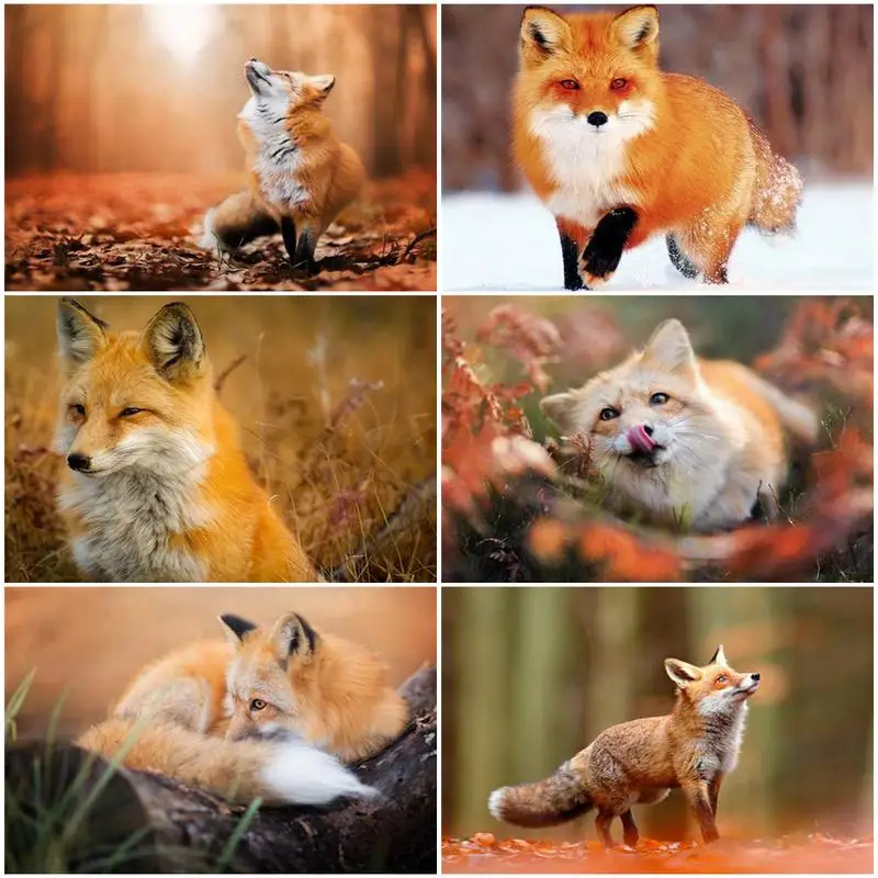 

GATYZTORY Painting By Number Fox Drawing On Canvas Hand Painted Paintings Art Gift DIY Pictures By Numbers Animal Kits Home Deco