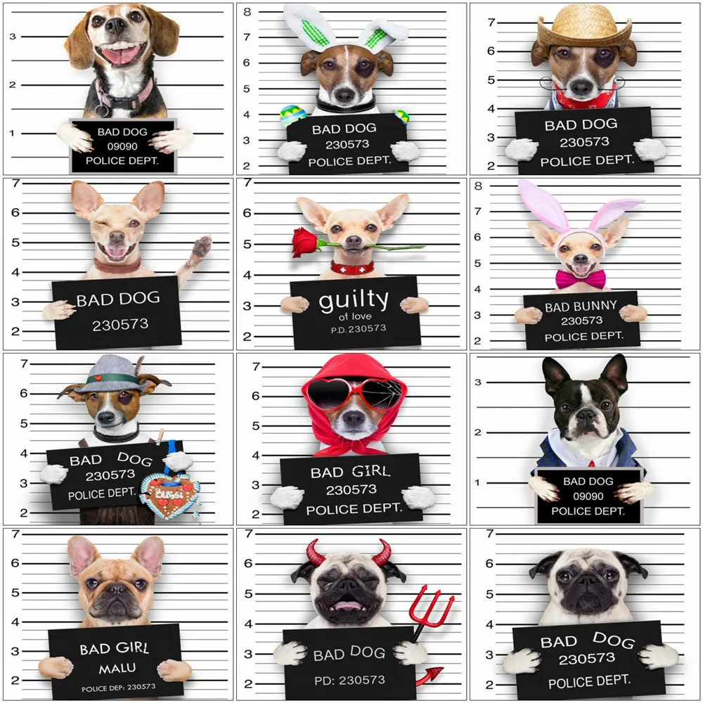 

Картина AZQSD по номерам, собака, ручная роспись, современное искусство на стену, Diy Краска по номерам, животные, наборы ручной работы, украшени...