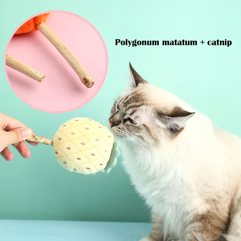 Плюшевые игрушки для кошек С Кошачьей Мятой милые фрукты Зефина форма палочке