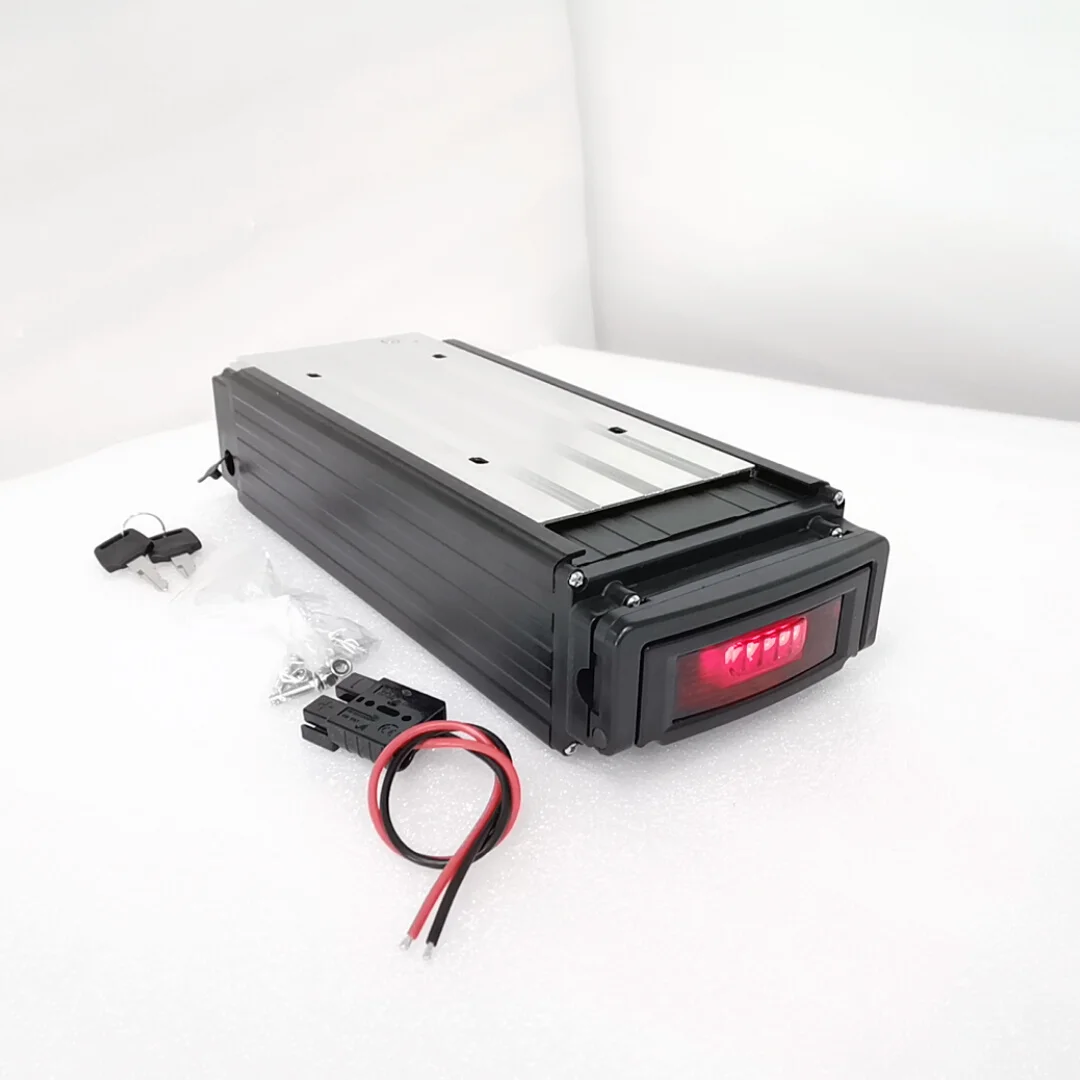

48V 20Ah 1000W electric bike battery lithium ion battery pack in Ebike E scooter ebike rack rear hanger carrier