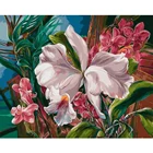 Набор для рисования по номерам SELILALI, 60x75 см, Белый цветок лилии, живопись маслом по номерам