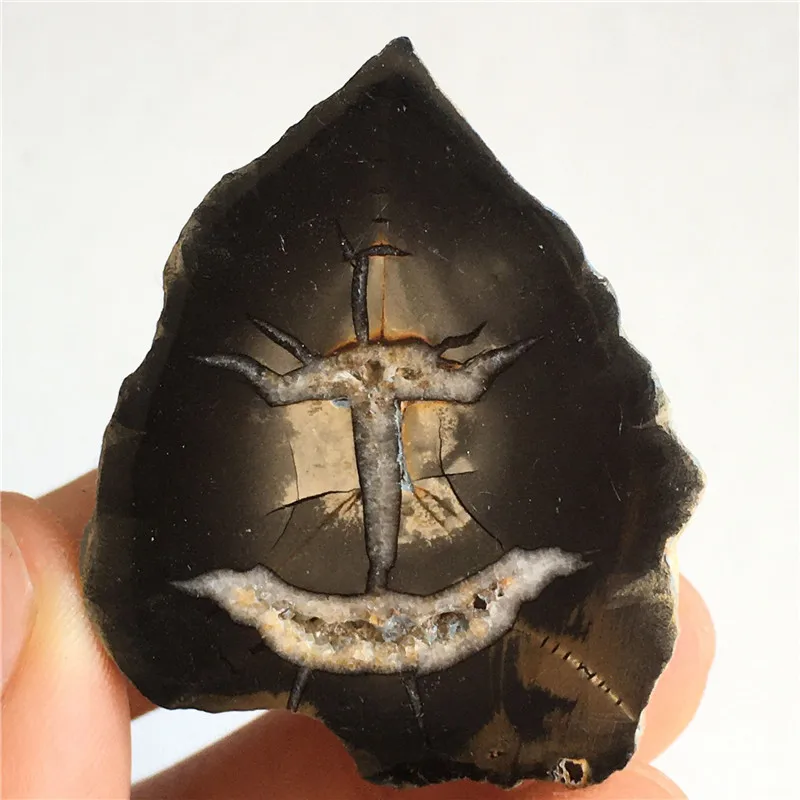 

Натуральный кристалл, ископаемый тетрагиллин, ископаемая фотоколлекция научных исследований и обучения