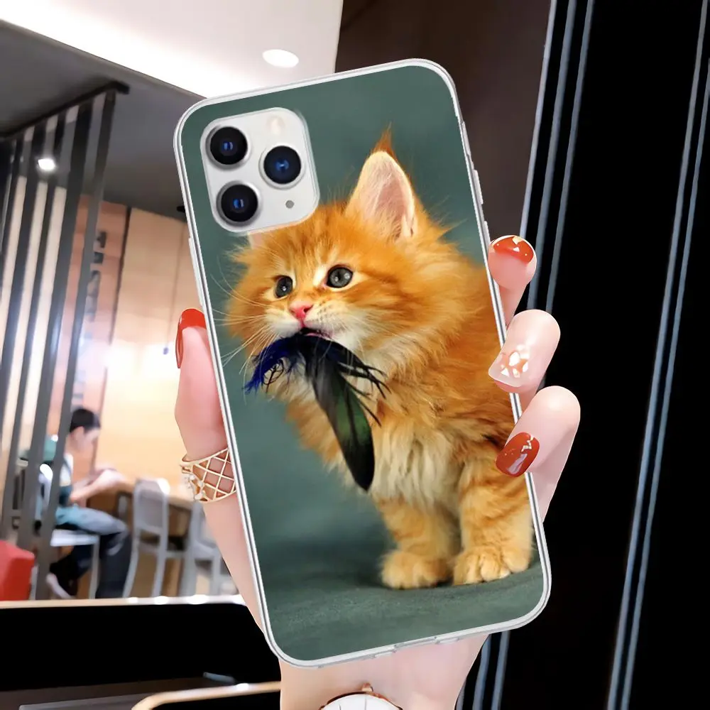 

Trend Maine Coon Cat Transparent Phone Case For Honor 8X 10i 20i 20 Lite Cover