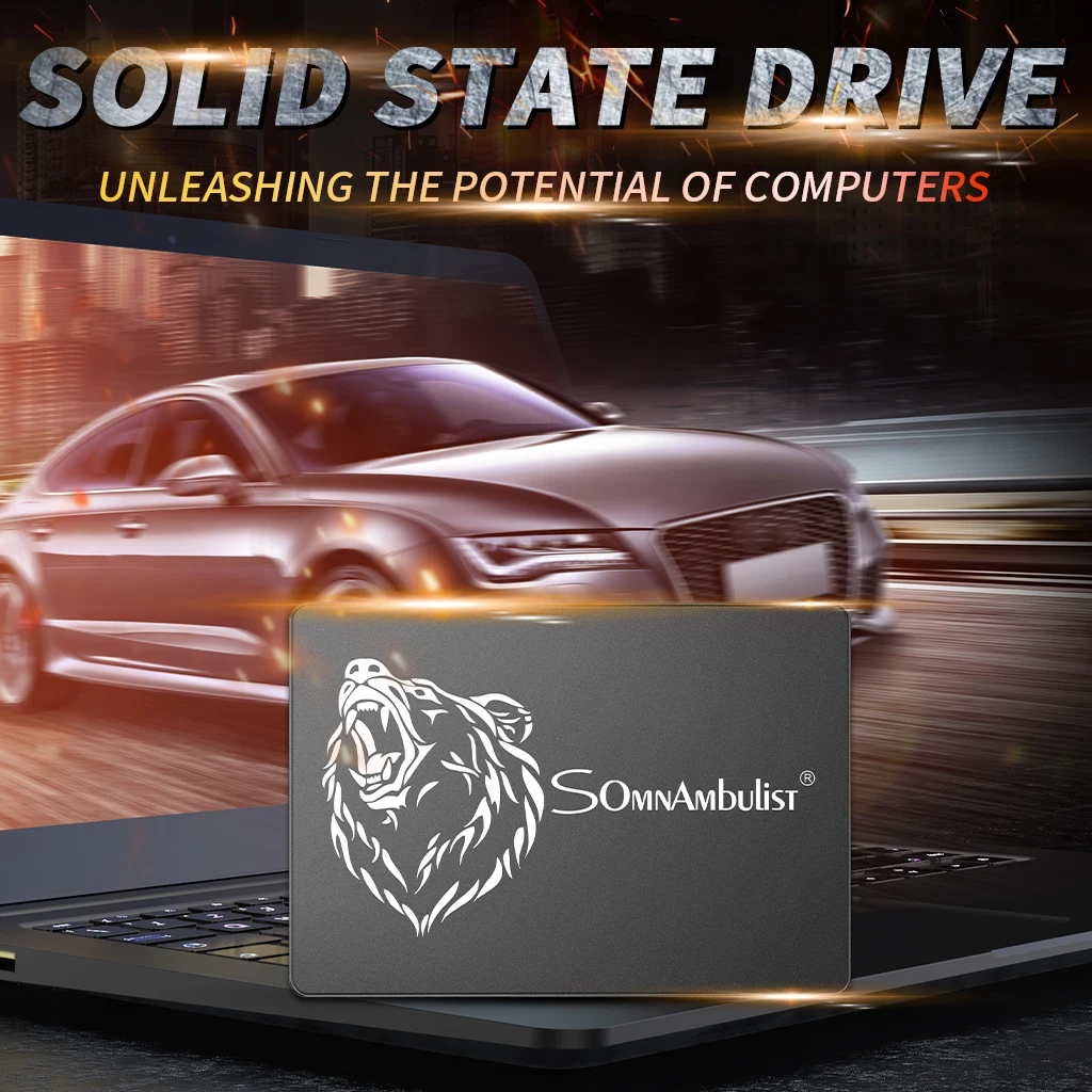 Металлический корпус с рисунком головы медведя Sata3 60 Гб Ssd 240 ГБ 480 960 2 ТБ 5