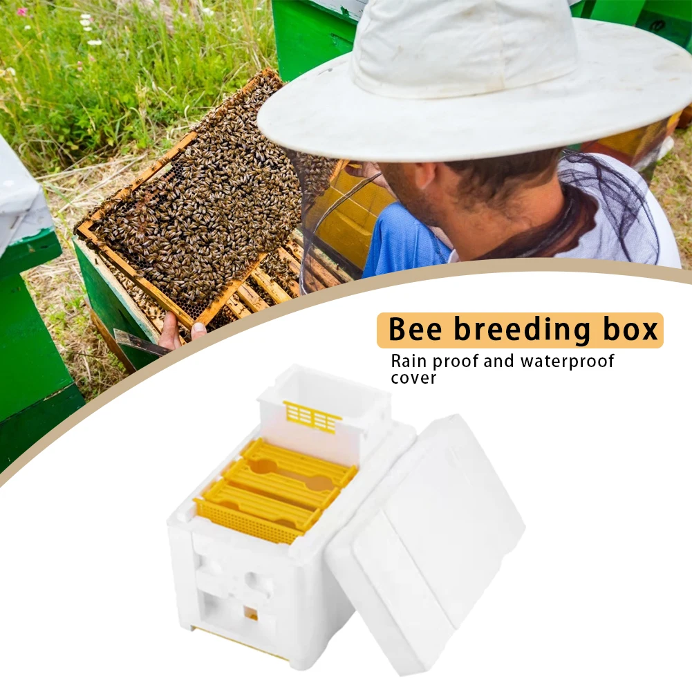 

Bee Hive Frame Holder Equipment Kit Beehive Pollination King Bees Hive Box Beekeeping Tools For Beekeeper Supplies