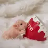 Изображение товара 4