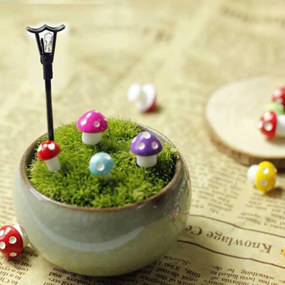 

Miniature Mushroom Micro Landscape Bonsai Succulent Plants Mini Garden DIY Decor