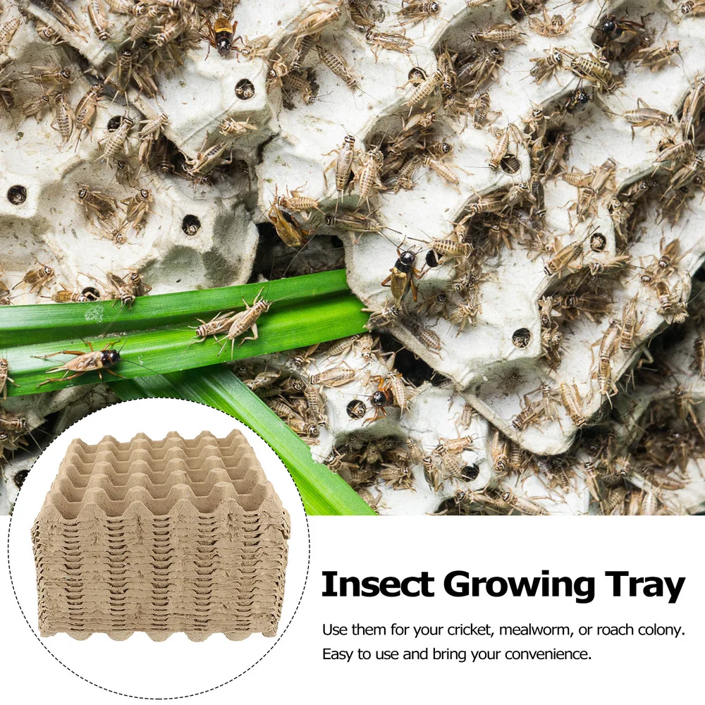 

20pcs Pulp Insect Larva Growing Tray 30-Hole Larva Breeding Tray Egg Tray