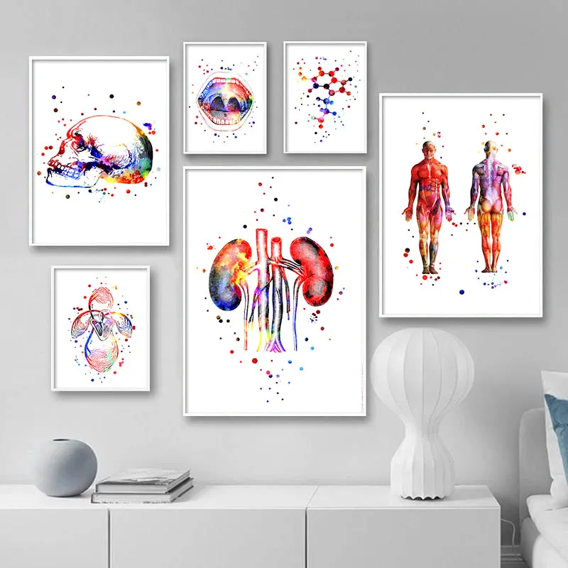 

Nordic Canvas Print Education Painting Watercolor Human Anatomy Room Decor Wall Decor Picture Skeleton Structure Anime Poster