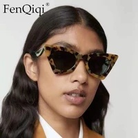 fashion cat eye glasses for women small triangle brand designer men traving outdoor shades sunglasses unisex