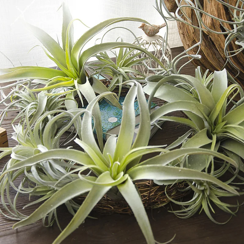 

1PC Artificial Plants Suculentas For Hotel Window Decoration Fake Flower Wedding Decoration