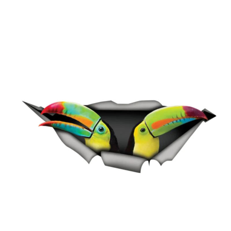 

Creative Car Sticke Keel-billed Toucan 3D Car Window Decal Accessories Waterproof Quality Vinyl Cover Scratches PVC 13cm X 5cm