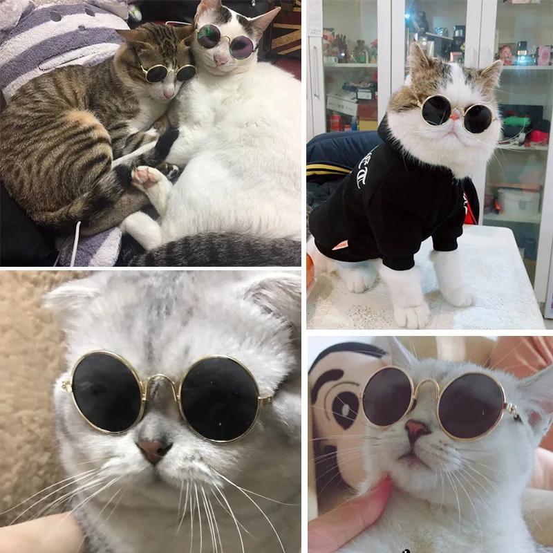 

Pet Glasses Mini Cat Sunglasses Teddy Dog Cool Trend Sun Glasses Pet Decorations