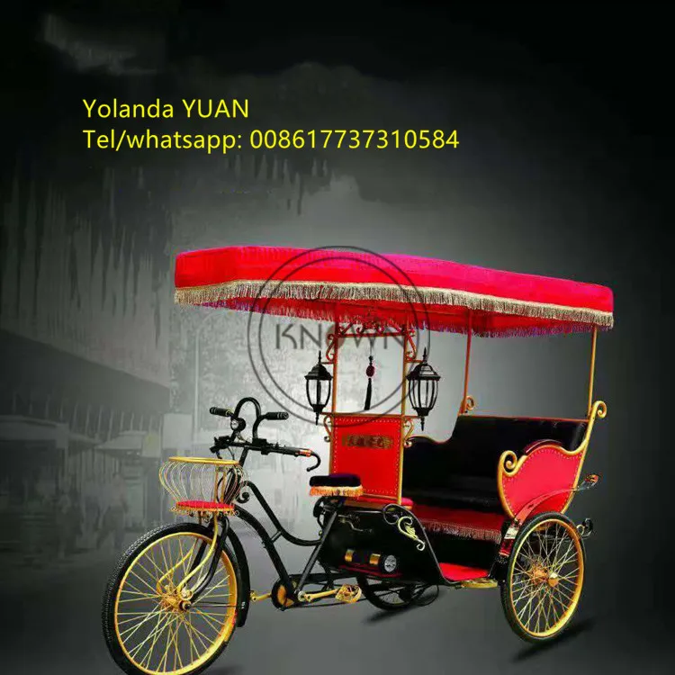 

Three Wheel Trike With Battery Public Bus Electric Bicycle Pedal Rickshaw Electric Taxi For Factory Sale