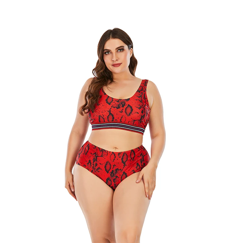 

Sexy Women's Swimming Suit Bikini Set 2021 New Plus Size Swimwear Female Bikinis Mujer Two Piece Swimsuits Padded Beach Biquini