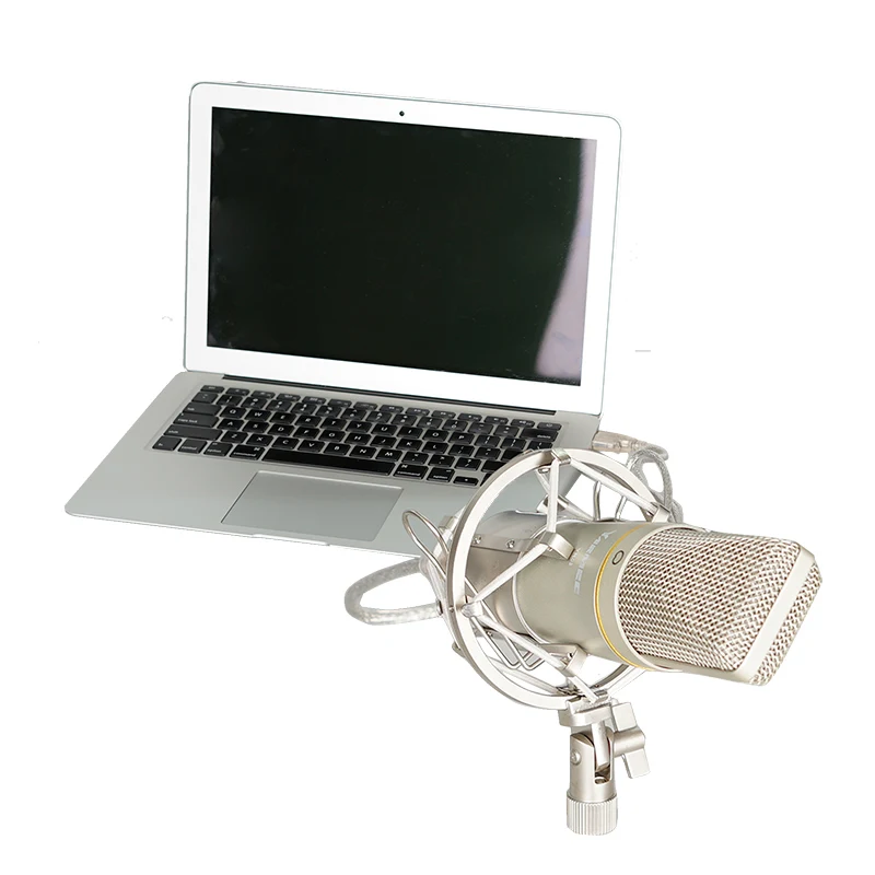 Микрофон для записи Youtube ноутбука MAC или Windows компьютерная запись голоса в комнате