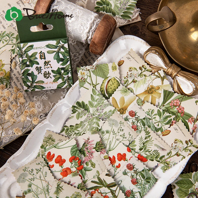 46 шт натуральный гимн коробки упакованы Стикеры завод наклейка для скрапбукинга