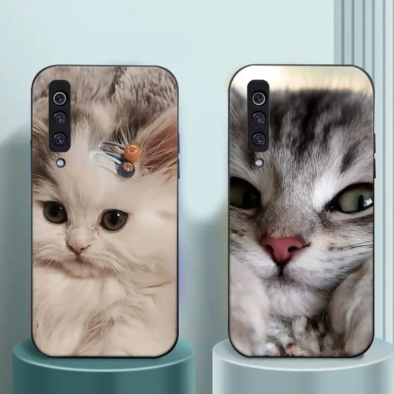 

cat Cute animals funny Phone Case For Samsung galaxy A S note 10 12 20 32 40 50 51 52 70 71 72 21 fe s ultra plus