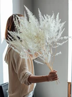 10pcs real plant white dried flower fern leaf bouquet flowers artificial leaves decoration nordic home wedding decor accessories