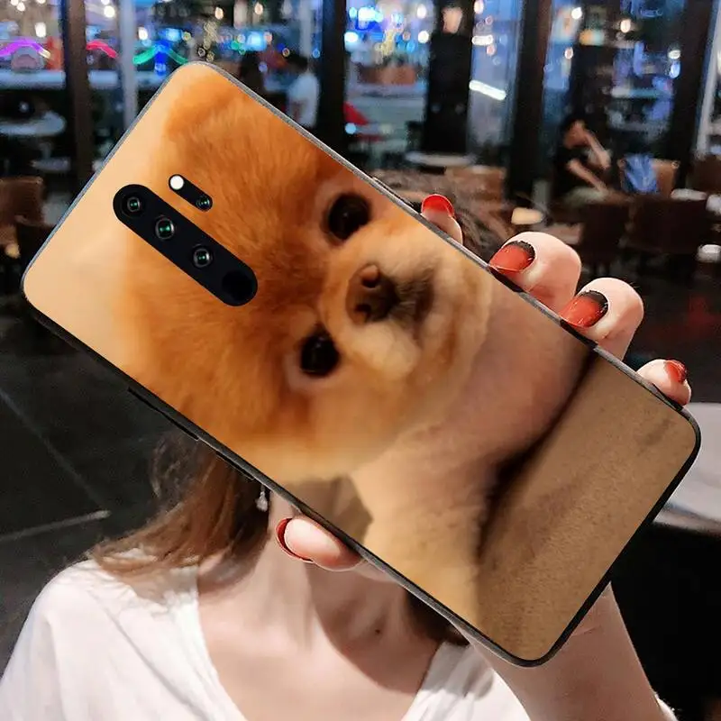 Милая Померанская собака модель Redmi 9A 8A 7 6 6A Note 10 9 8 8T Pro Max K20 K30 | Мобильные телефоны