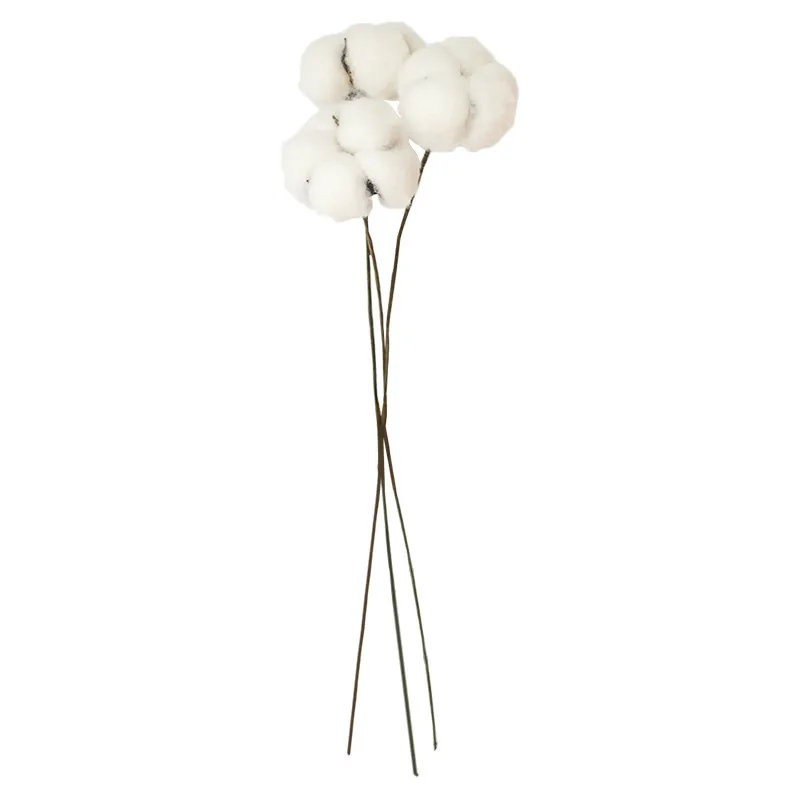 

6 Stems Cotton Flower Dried Cotton Stems Farmhouse Naturally Artificial Flower Picks Natural Cotton Balls No Vase