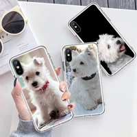 westie terrier dog puppy phone case transparent soft for iphone 12 11 13 7 8 6 s plus x xs xr pro max mini