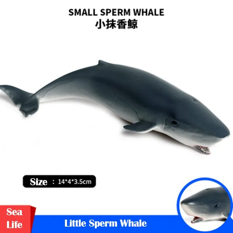 

Морская жизнь, маленький Кашалот, Имитация животных, коллекция моделей пластмассовые руки модель серии, рождественские игрушки, подарок дл...